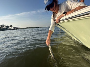 Edgewater Report Photo 2