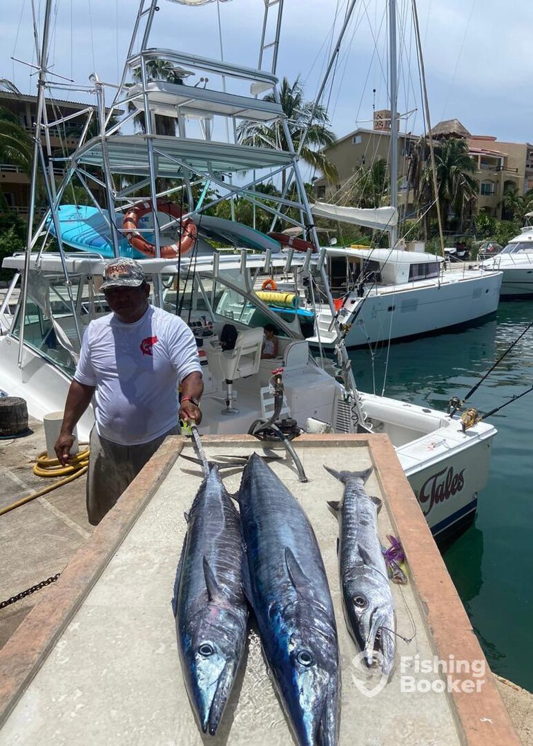 Puerto Aventuras Report Photo 0