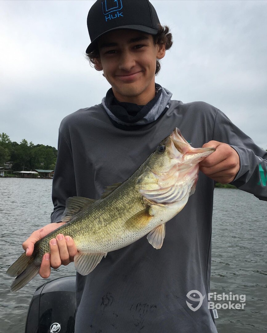 Quitman Report Photo 0