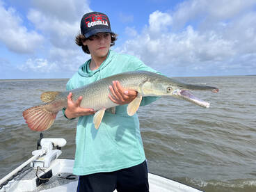 Mandeville Report Photo 2