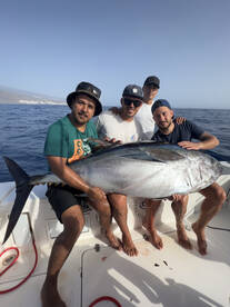 Short summary of latest catches 