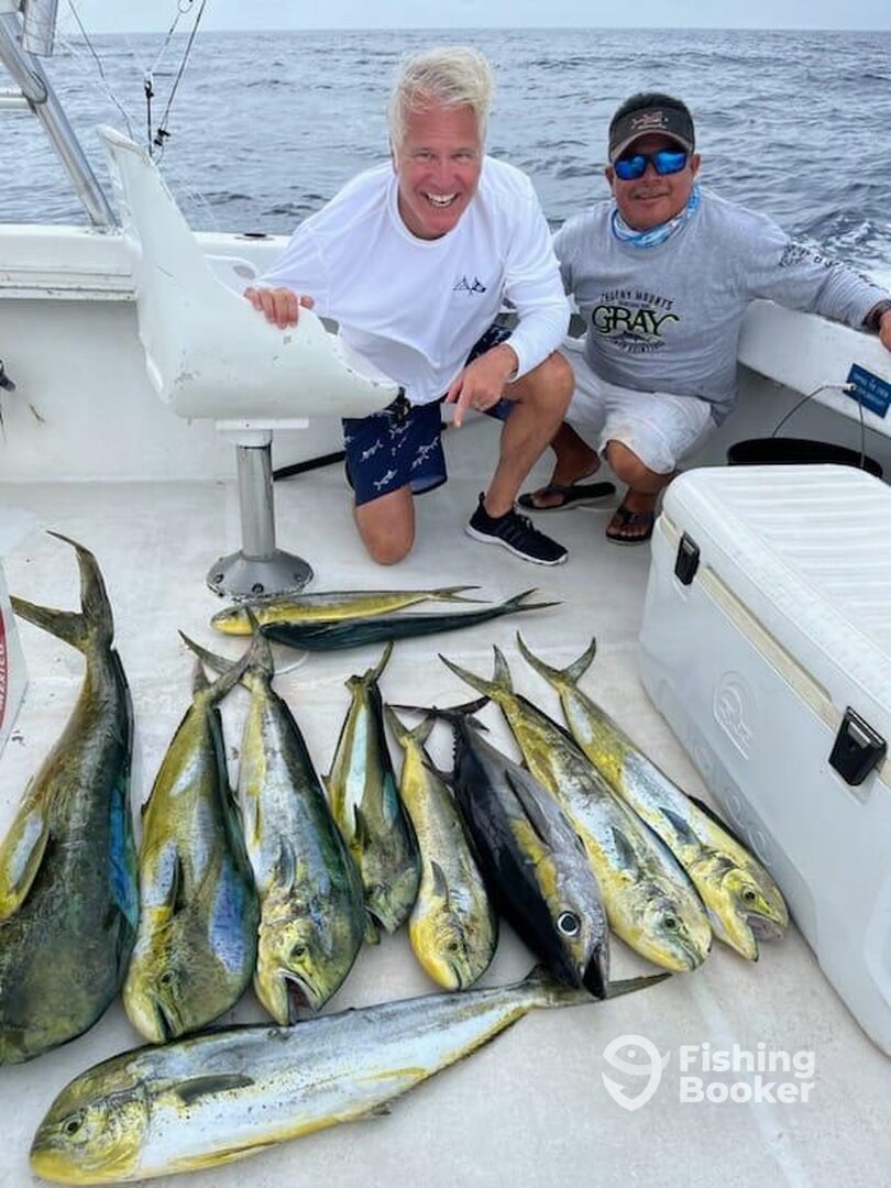 Cozumel Report Photo 0