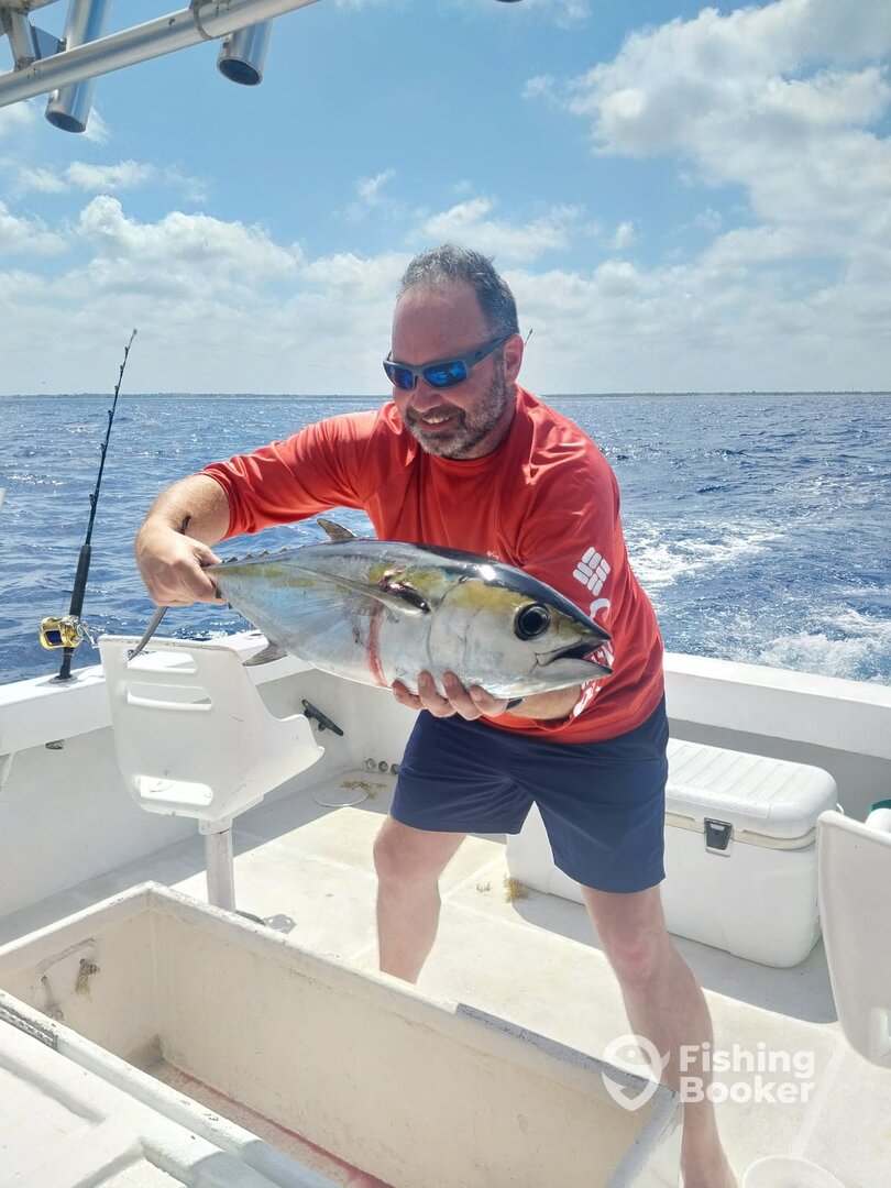 Cozumel Report Photo 0