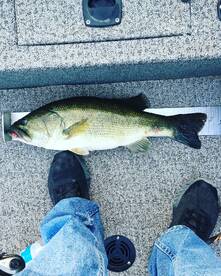 Quitman Report Photo 2