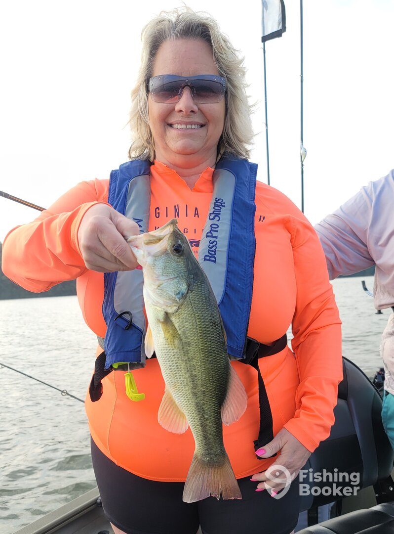 Harrison Report Photo 0