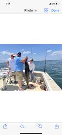 Big cobia