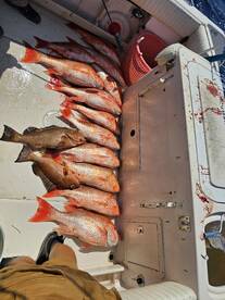 Clearwater Report Photo 1