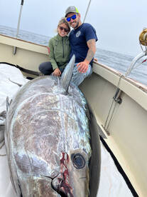 Tuna Hunter Bluefin Tuna