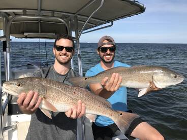 Sarasota Report Photo 2