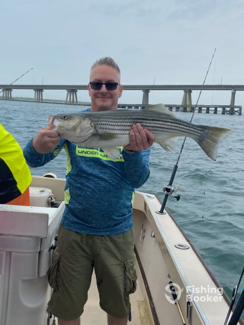 Hampton Bays Report Photo 0