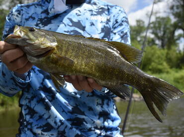 Minneapolis Report Photo 2