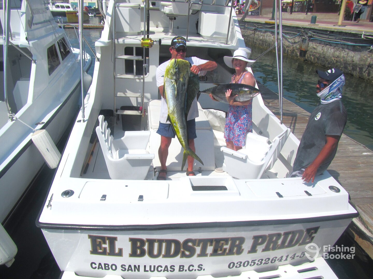 Cabo San Lucas Report Photo 0