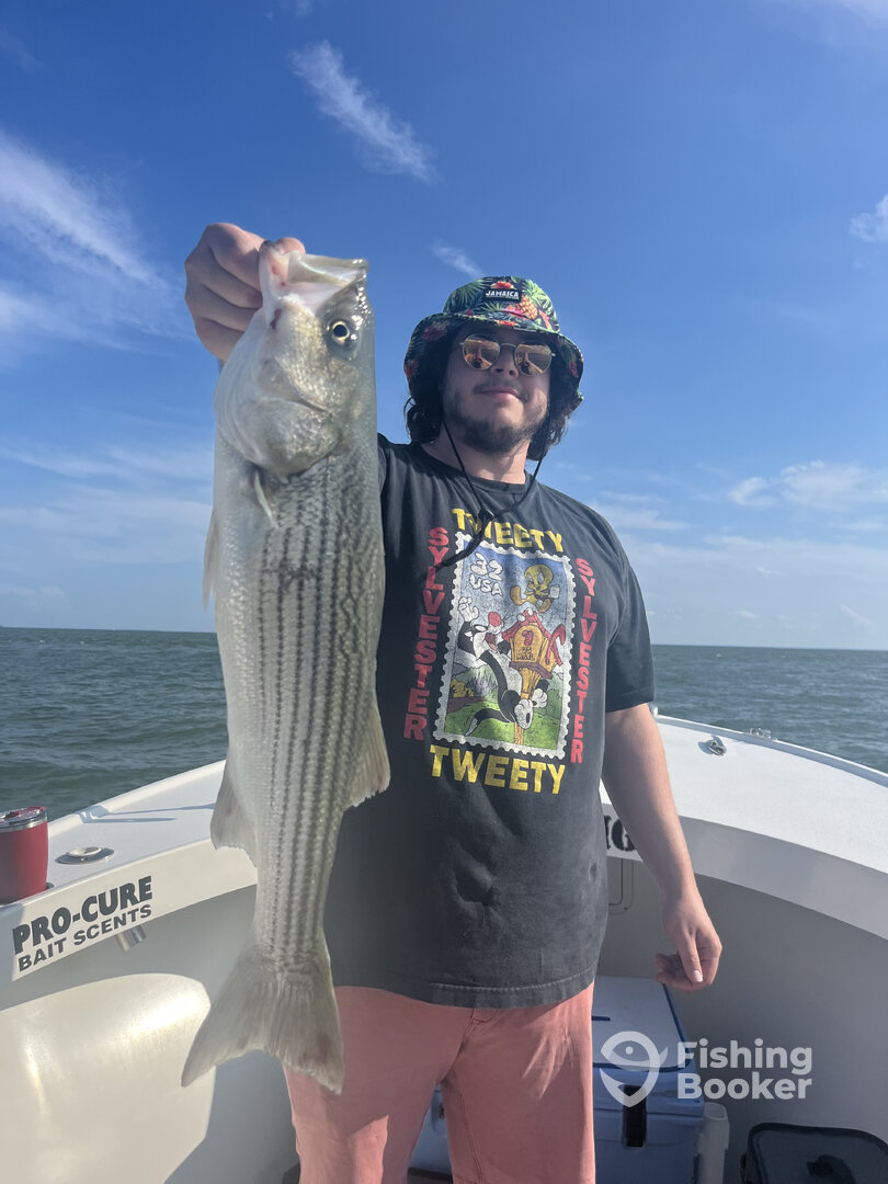 Chesapeake Beach Report Photo 0