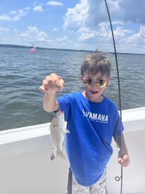 Chesapeake Beach Report Photo 2