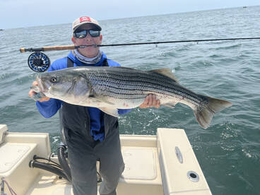 Narragansett Report Photo 2