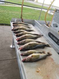 Fairview Report Photo 2