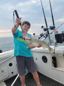 Fairview Report Photo 1