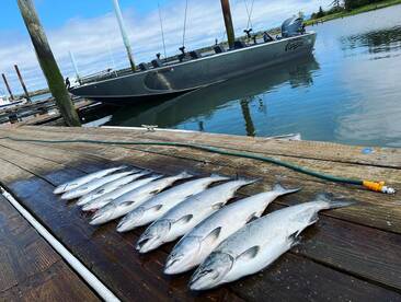 Portland Report Photo 2