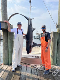 Southampton Report Photo 3