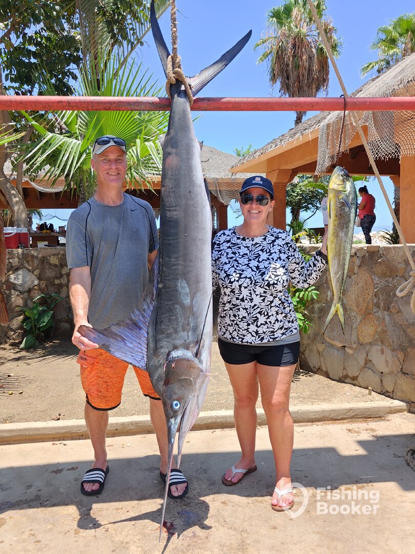 San Jose del Cabo Report Photo 0