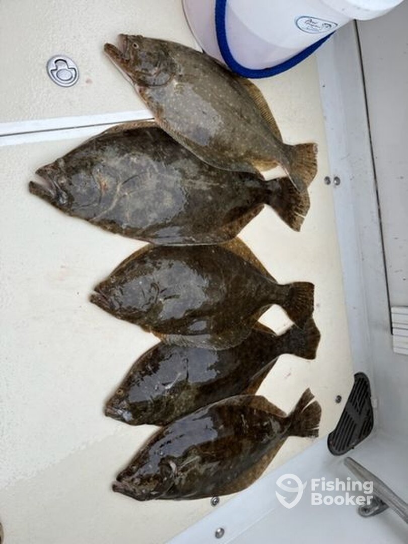 Hampton Bays Report Photo 0