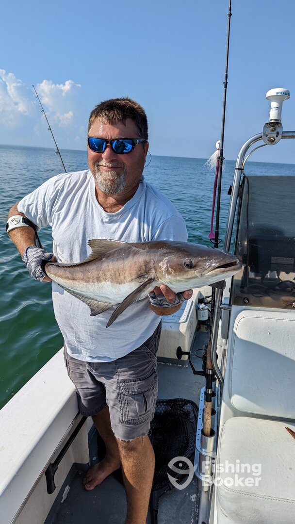 Crisfield Report Photo 0