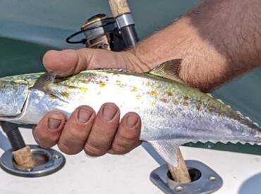 Crisfield Report Photo 2