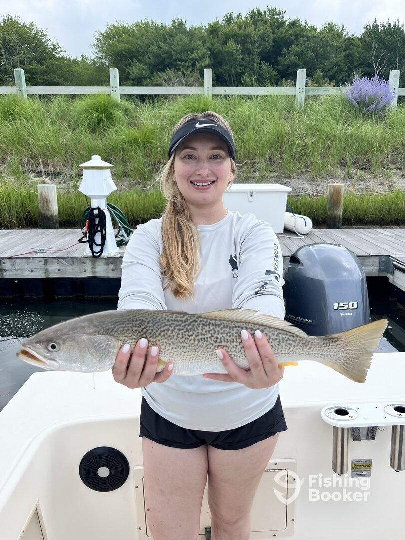 Southold Report Photo 0