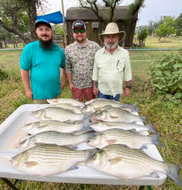 Burnet Report Photo 4