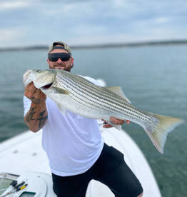 Excellent striped bass fishing 