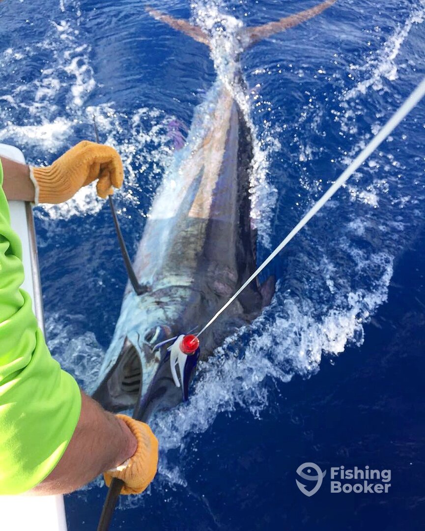 Quepos Report Photo 0