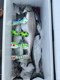 Grand Haven Report Photo 2