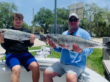 Massive Kingfish 