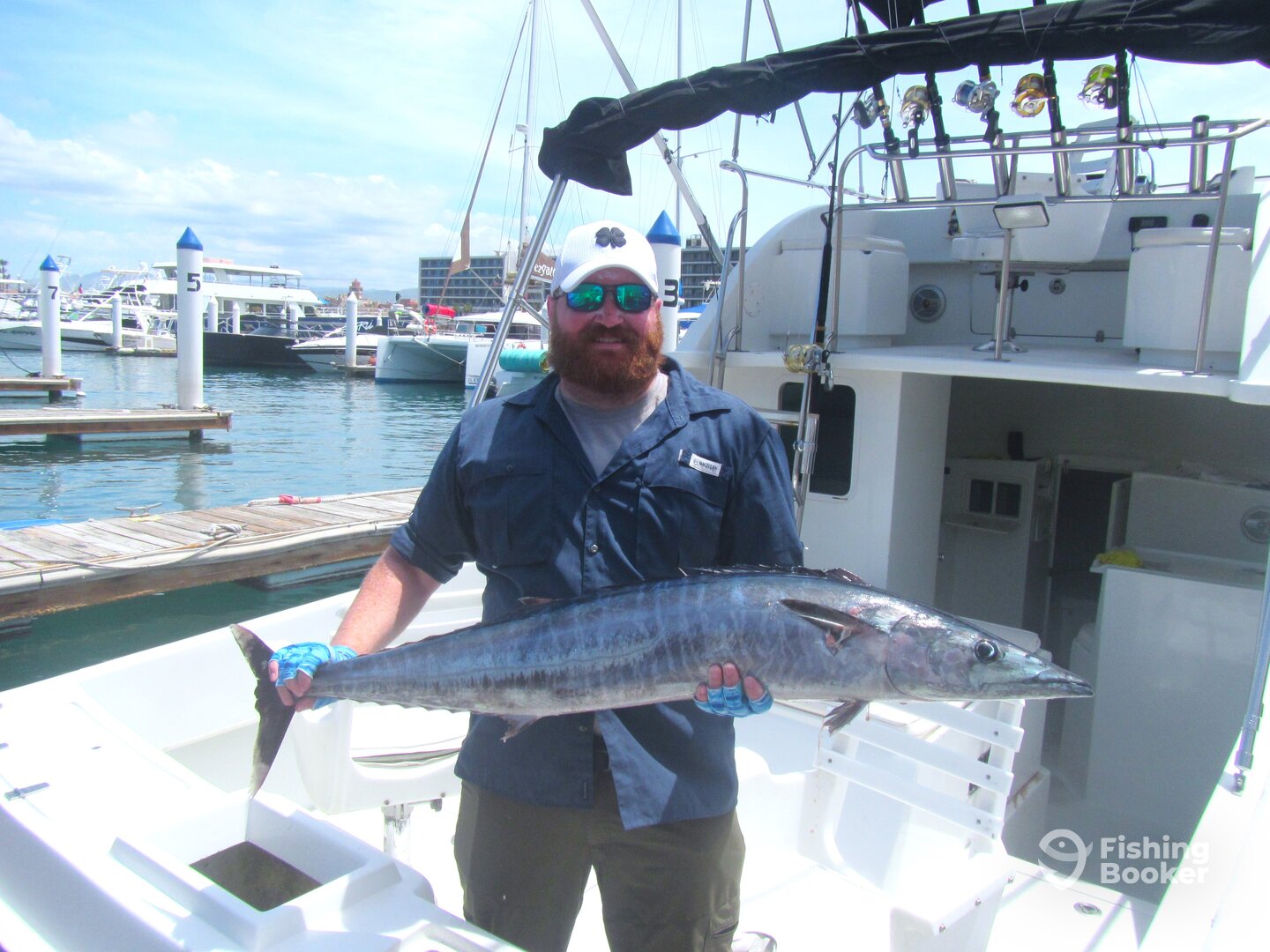 Cabo San Lucas Report Photo 0