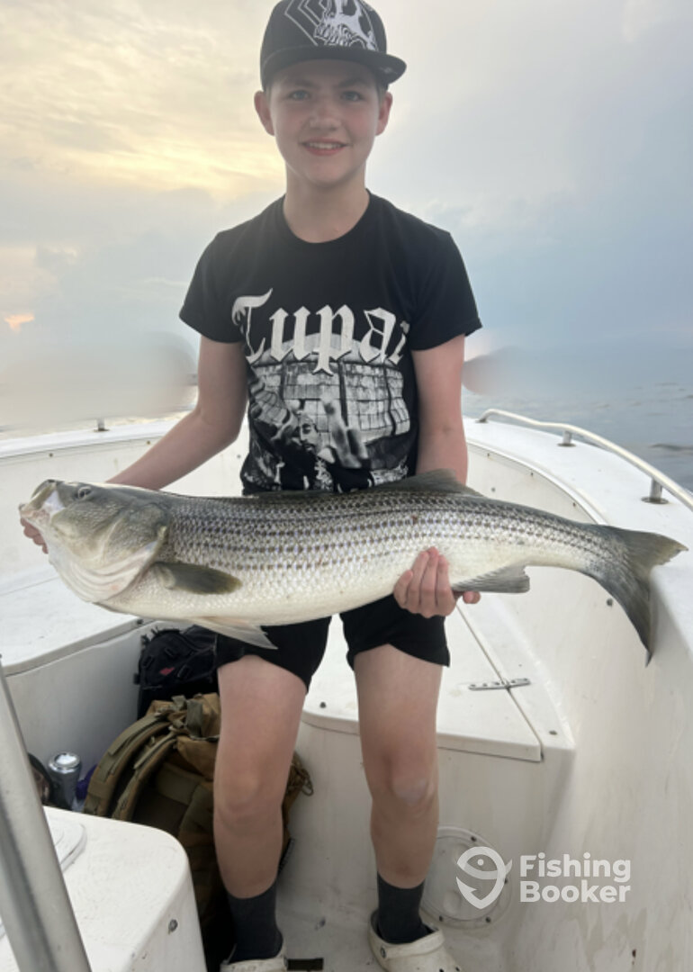 Newburyport Report Photo 0