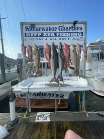 Biloxi Report Photo 2