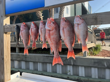 Destin Report Photo 1