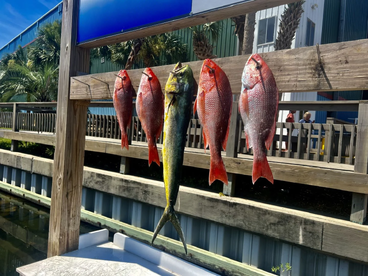 Destin Report Photo 2