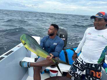 Mahi