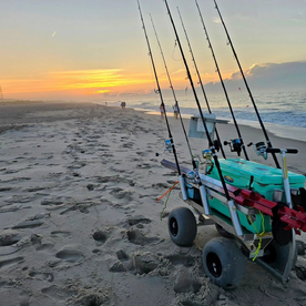 Stone Harbor Report Photo 1