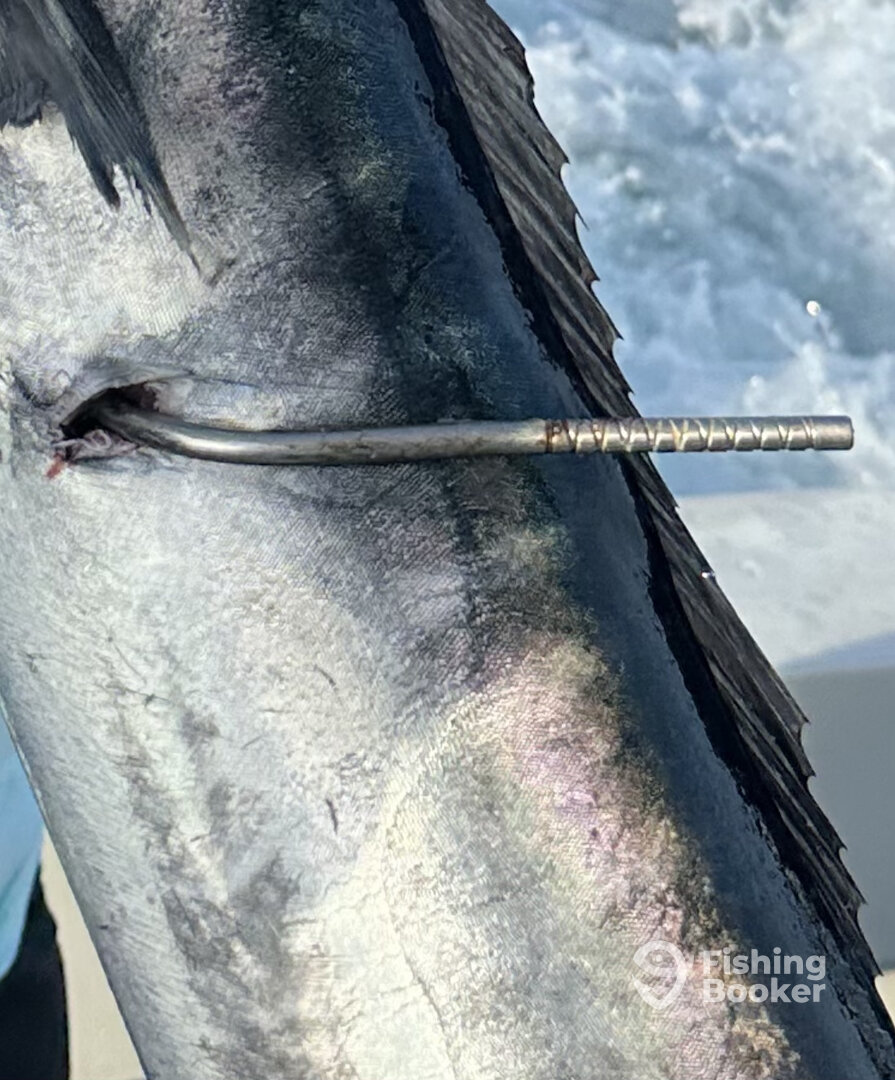 West Palm Beach Report Photo 0