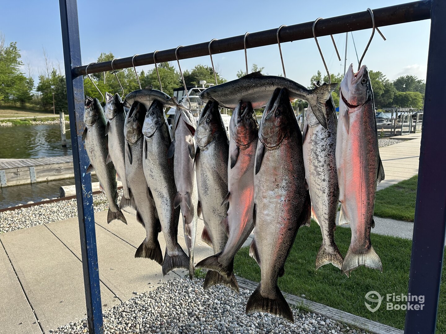 Grand Haven Report Photo 0