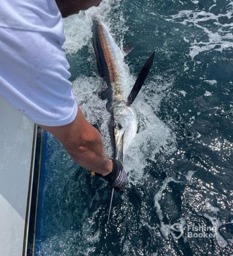 Hampton Bays Report Photo 0