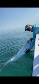 Islamorada Report Photo 2