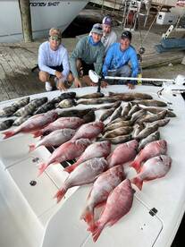 Venice Report Photo 1