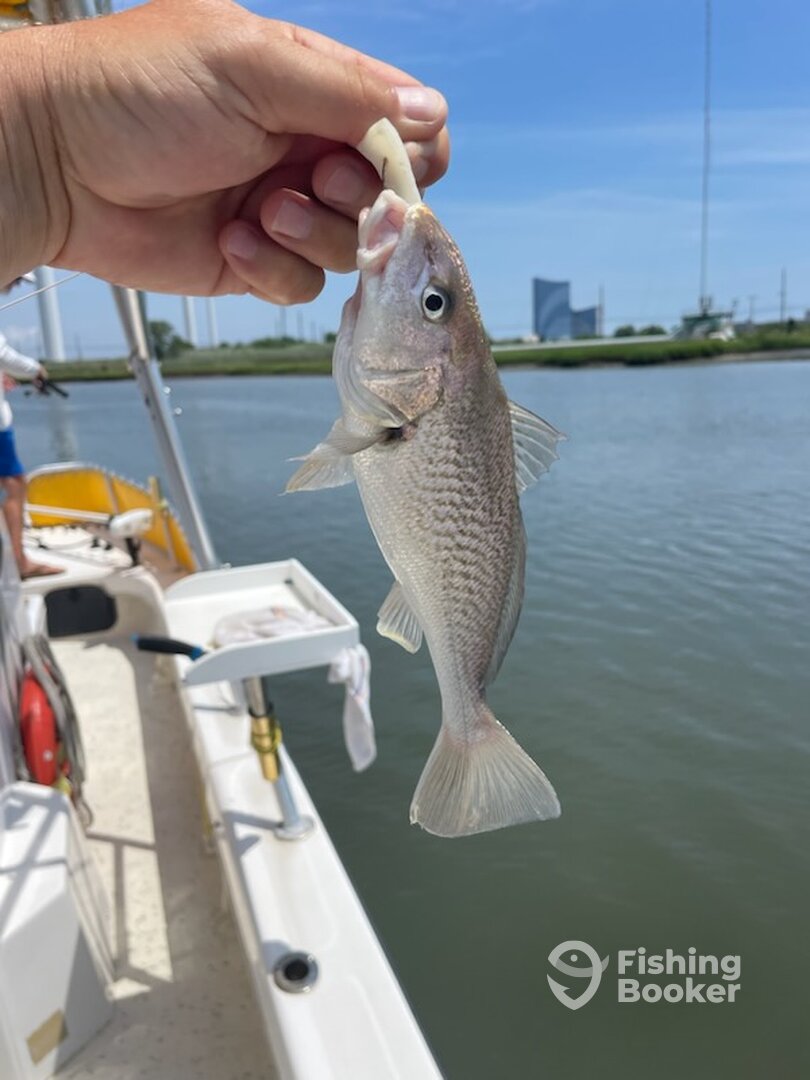 Brigantine Verslag Foto 0