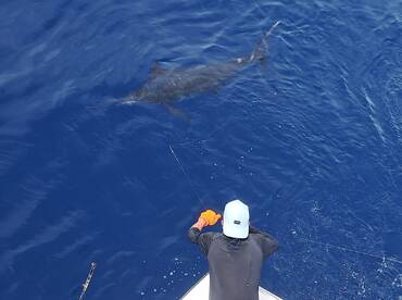 Quepos Report Photo 1