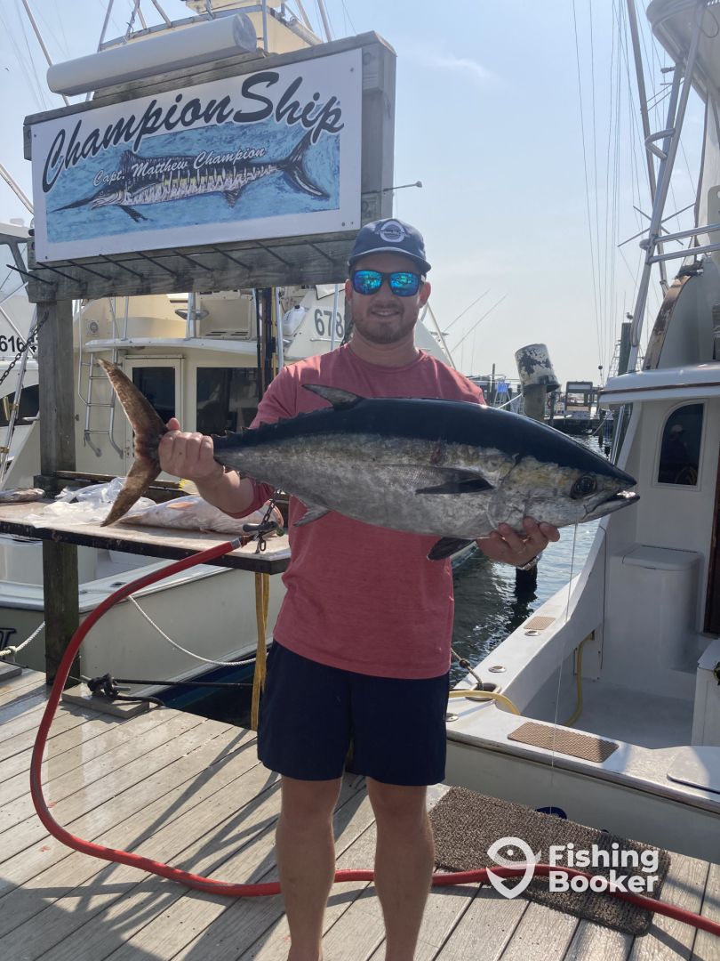 Destin Report Photo 0