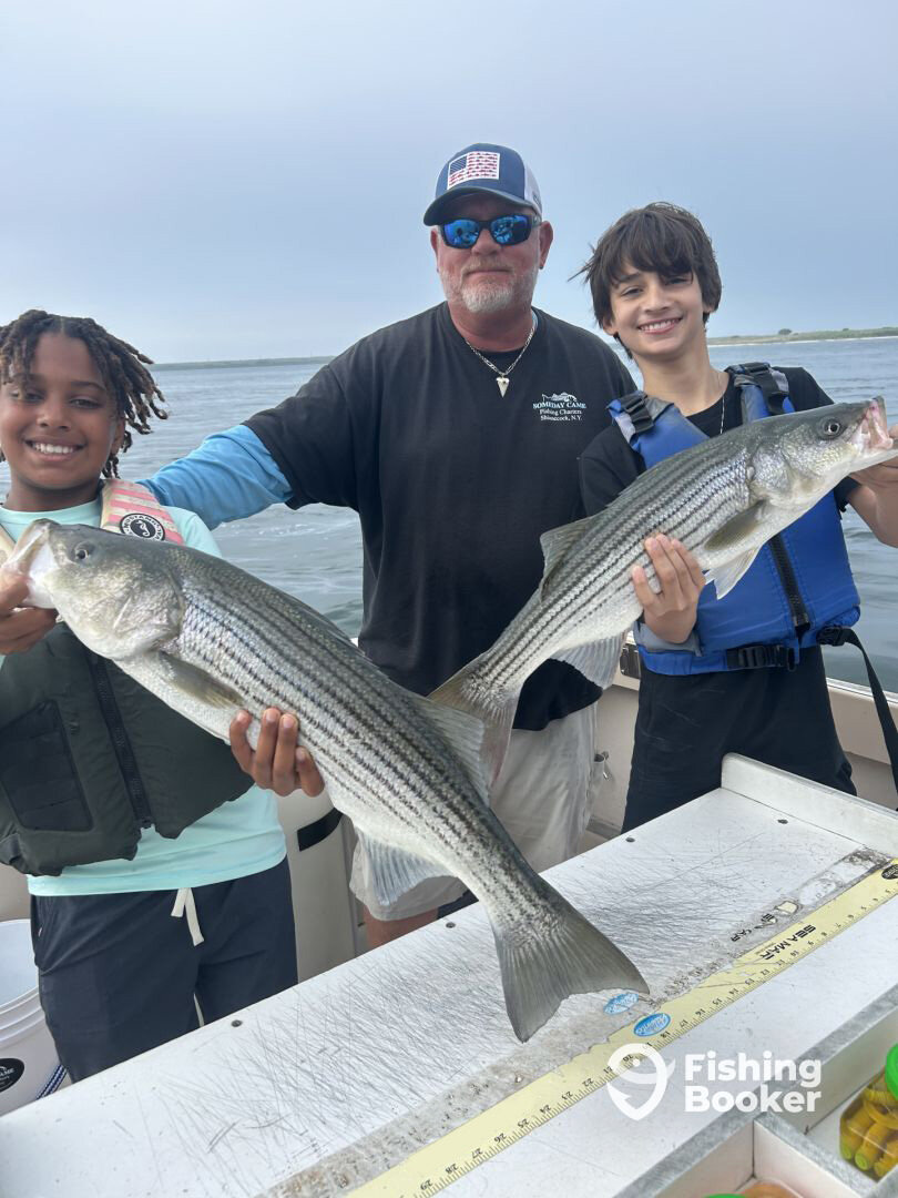 Hampton Bays Report Photo 0