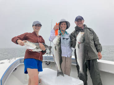 Chatham Report Photo 1